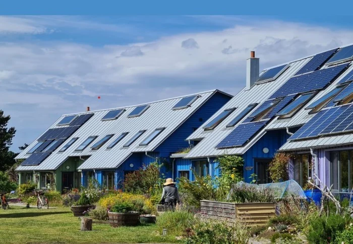 A terrace of eco homes with solar panels covering the full pitch of every roof, fronted by mature planting and vegetable beds.