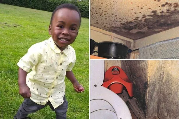 Portrait of Awaab Ishak, the two-year-old whose death from prolonged mould exposure led to Awaab's Law.