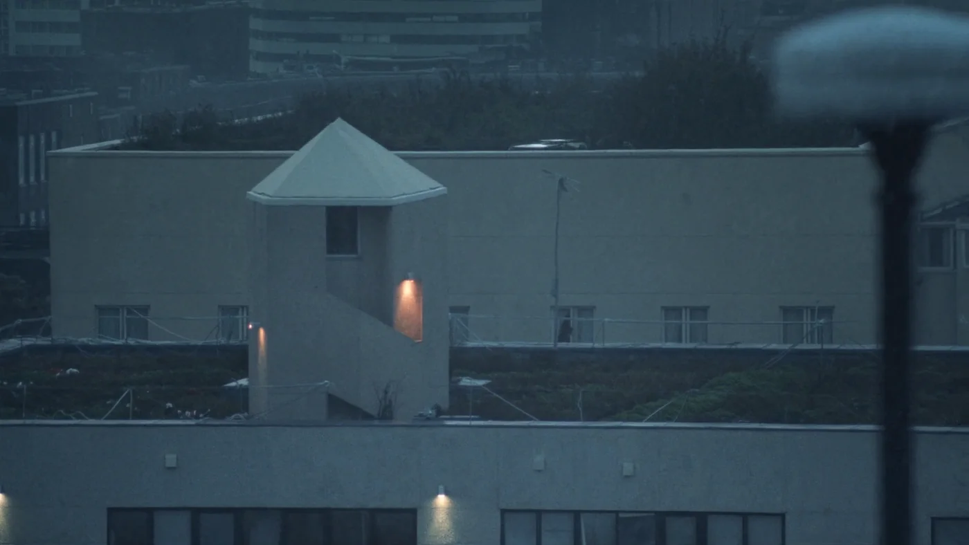 A green roof planted across a city building with rooftop plant beyond