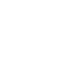 BCP Council